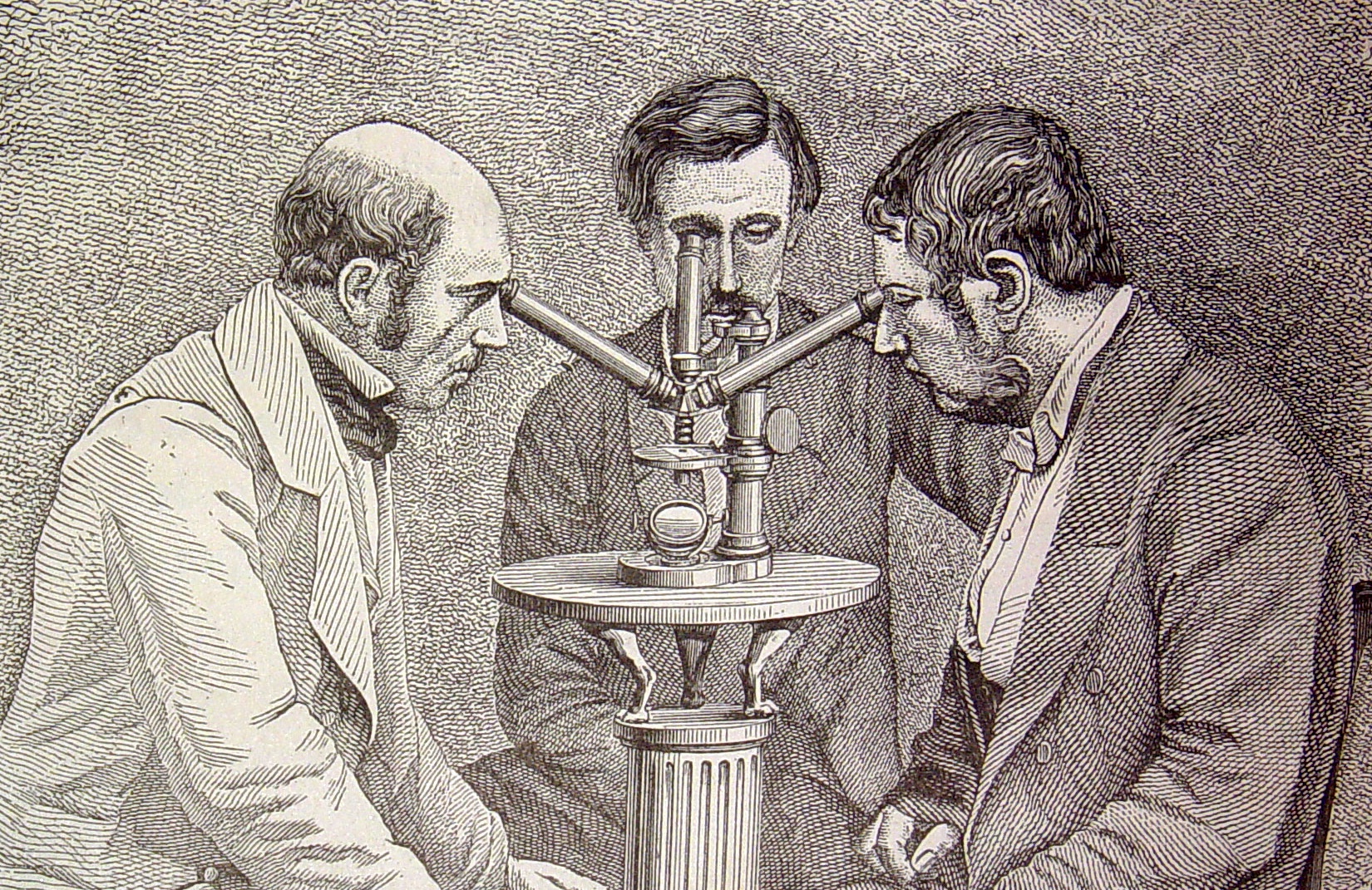 Microscopio de tres cuerpos