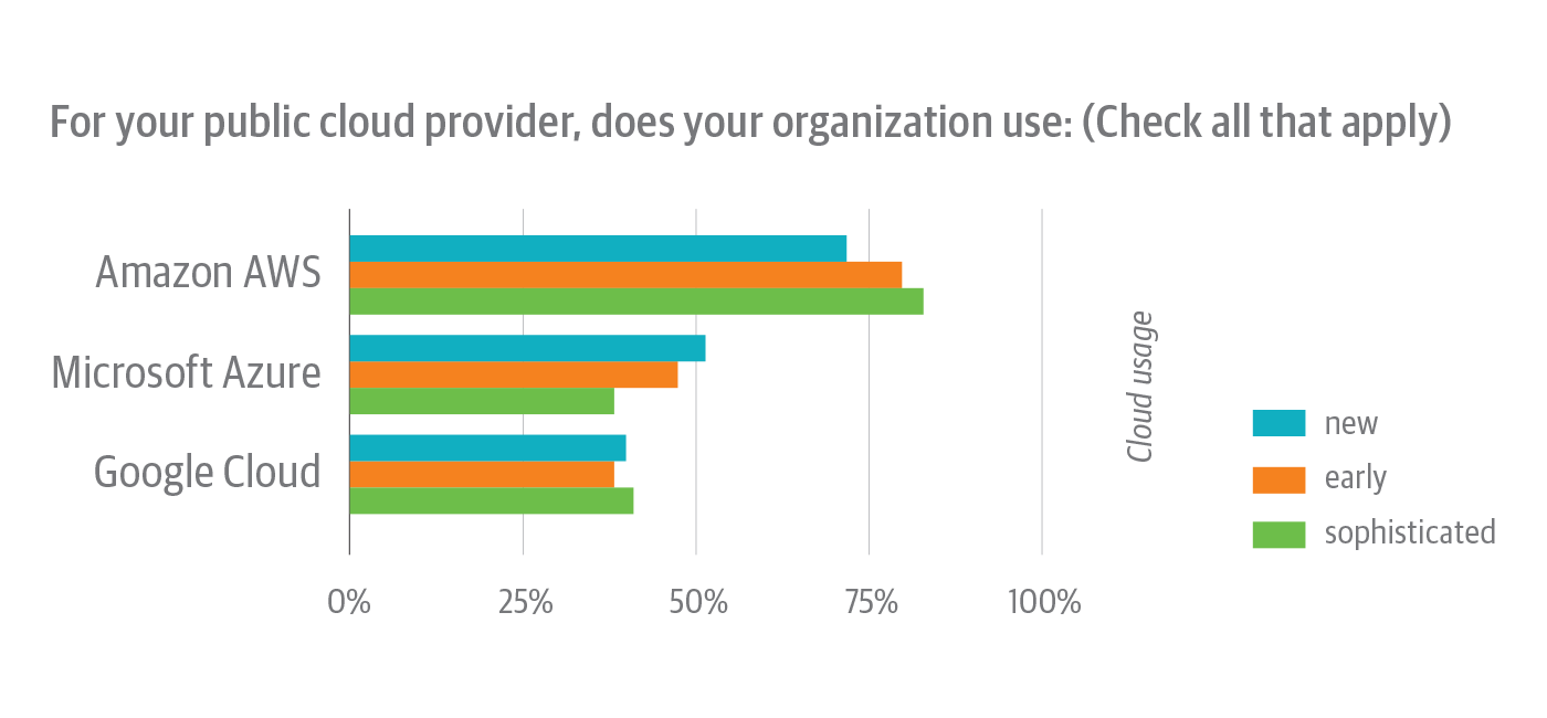 Public cloud providers used by survey respondents, broken down by cloud native experience level