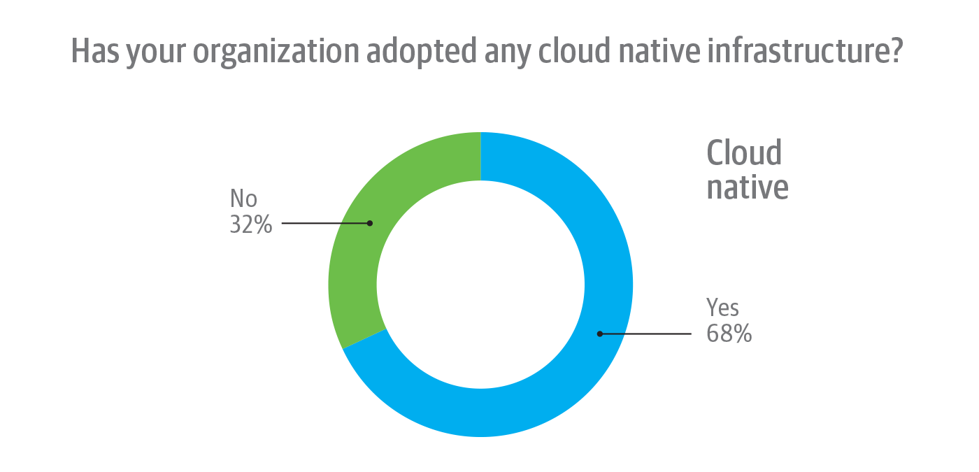 Cloud native infrastructure adoption among survey respondent