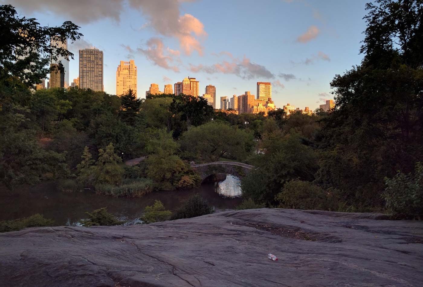 Sunrise over central park, with abandoned water bottle.